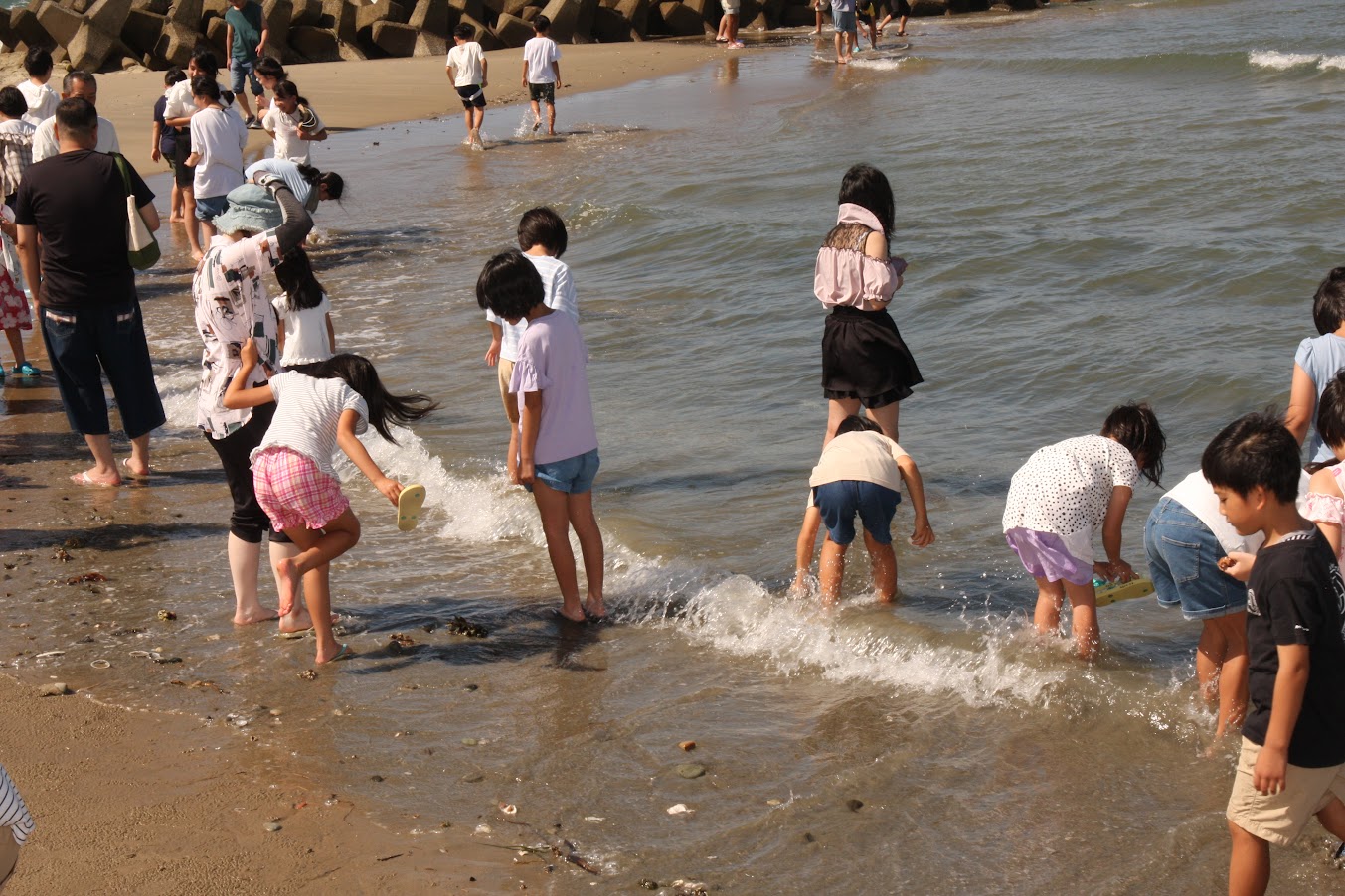 サマースクール　海へ散歩